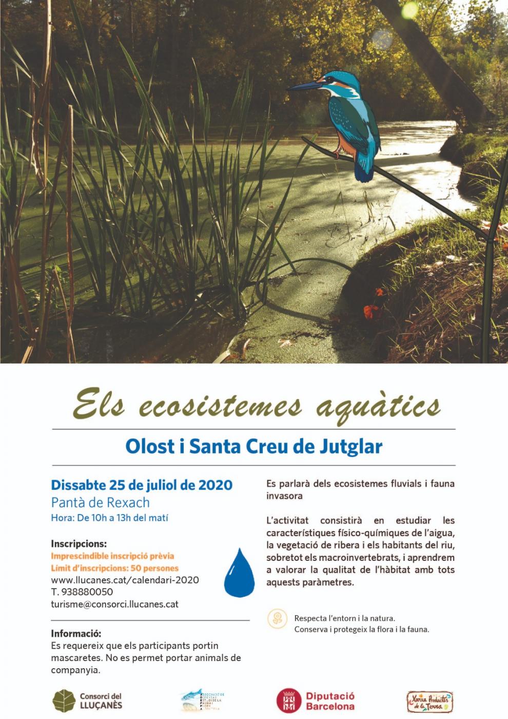 Activitat guiada dels ecosistemes aquàtics del Lluçanès al Pantà de Rexach